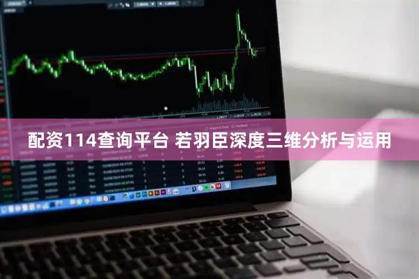 配资114查询平台 若羽臣深度三维分析与运用