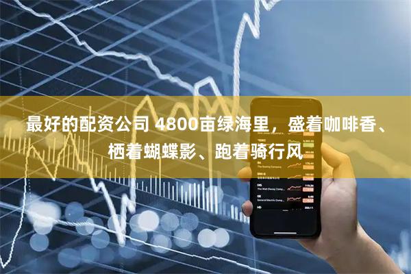 最好的配资公司 4800亩绿海里，盛着咖啡香、栖着蝴蝶影、跑着骑行风