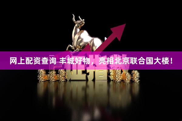 网上配资查询 丰城好物，亮相北京联合国大楼！
